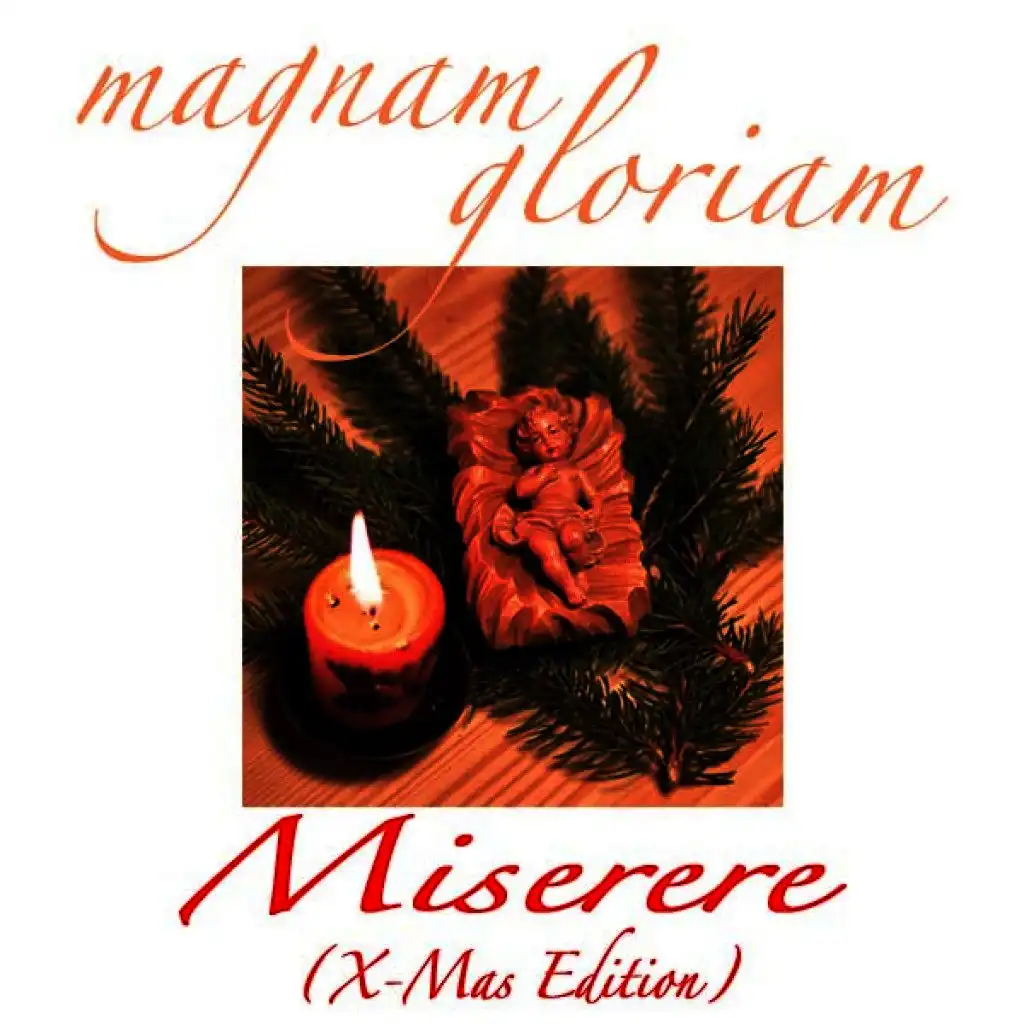 Miserere (Magnam Gloriam Radio Edit)