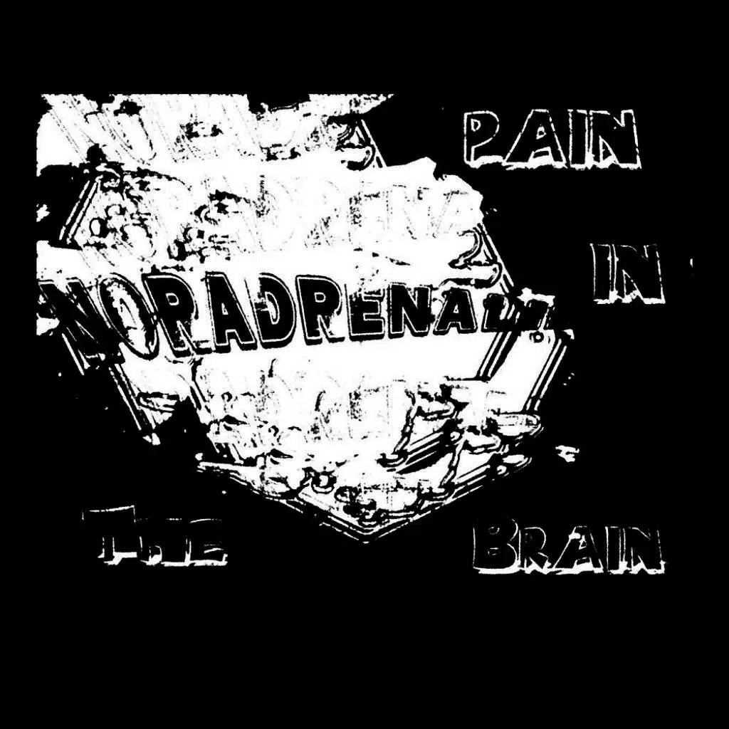 Pain in the Brain