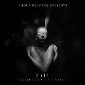 2011 the Year of the Rabbit
