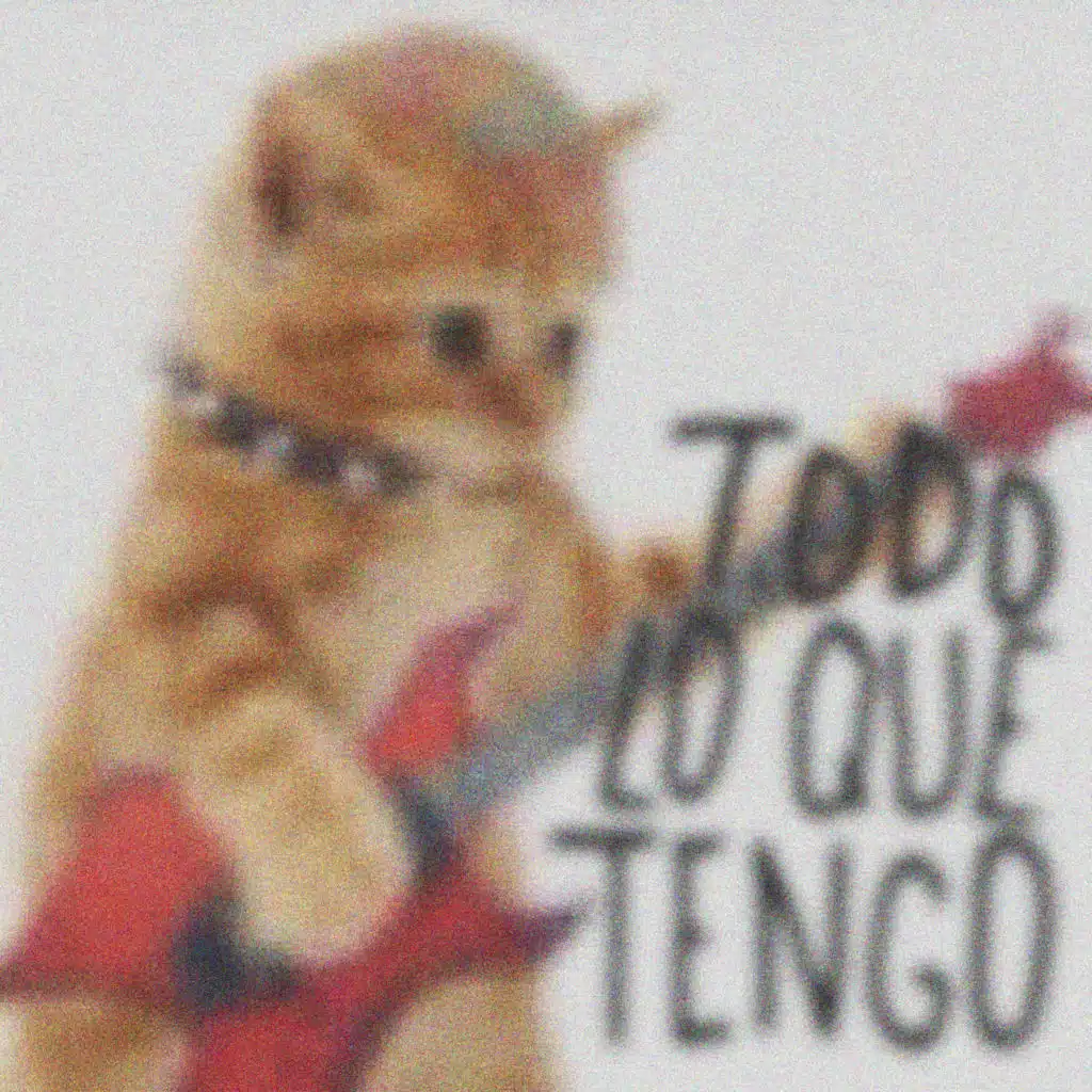 Zokoo