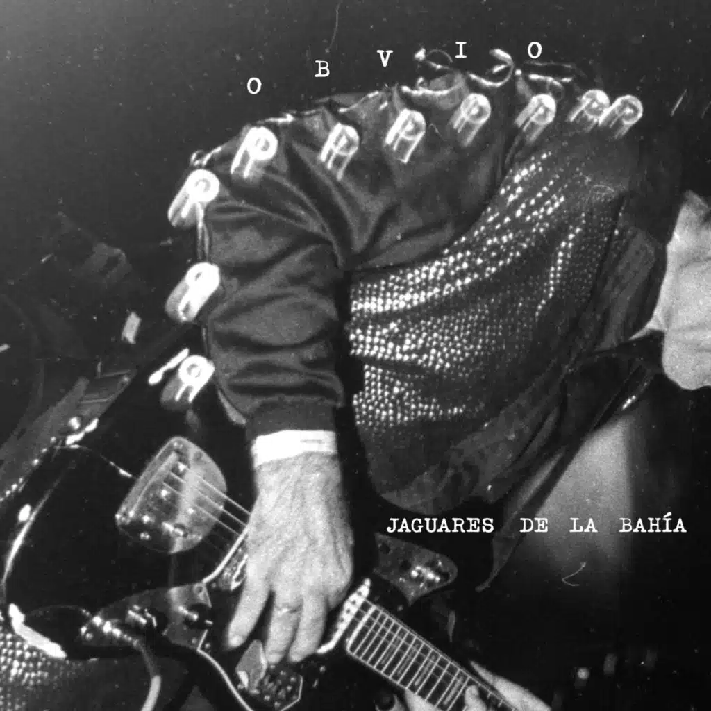 Los Jaguares de la Bahía