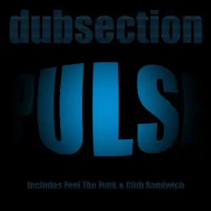 The Dubsection