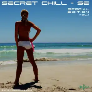 Secret Chill - Special Edition