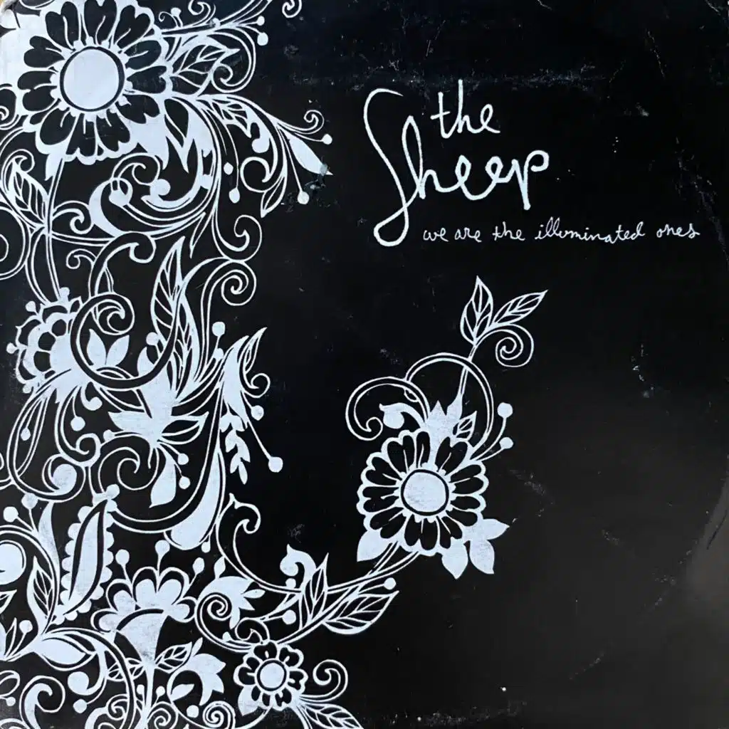 We Are the Illuminated Ones