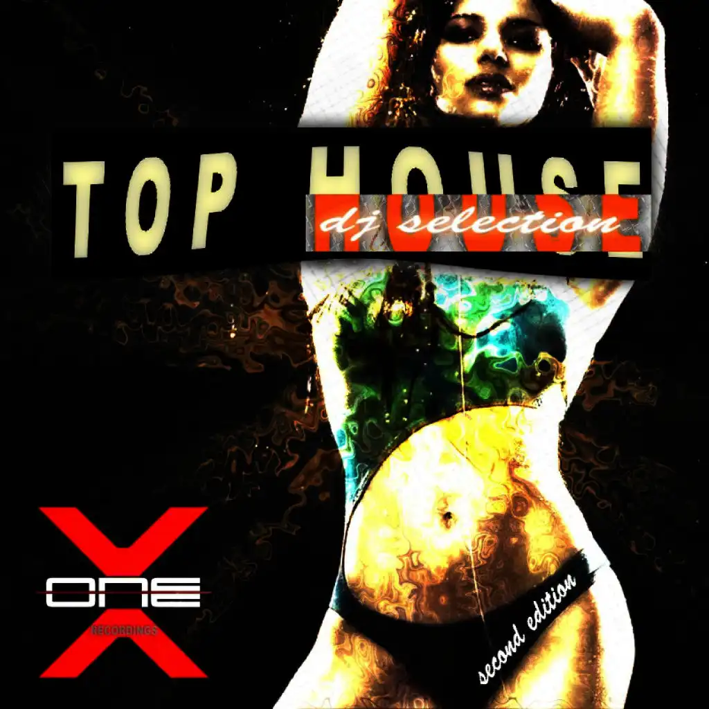 Top House DJ Selection 2