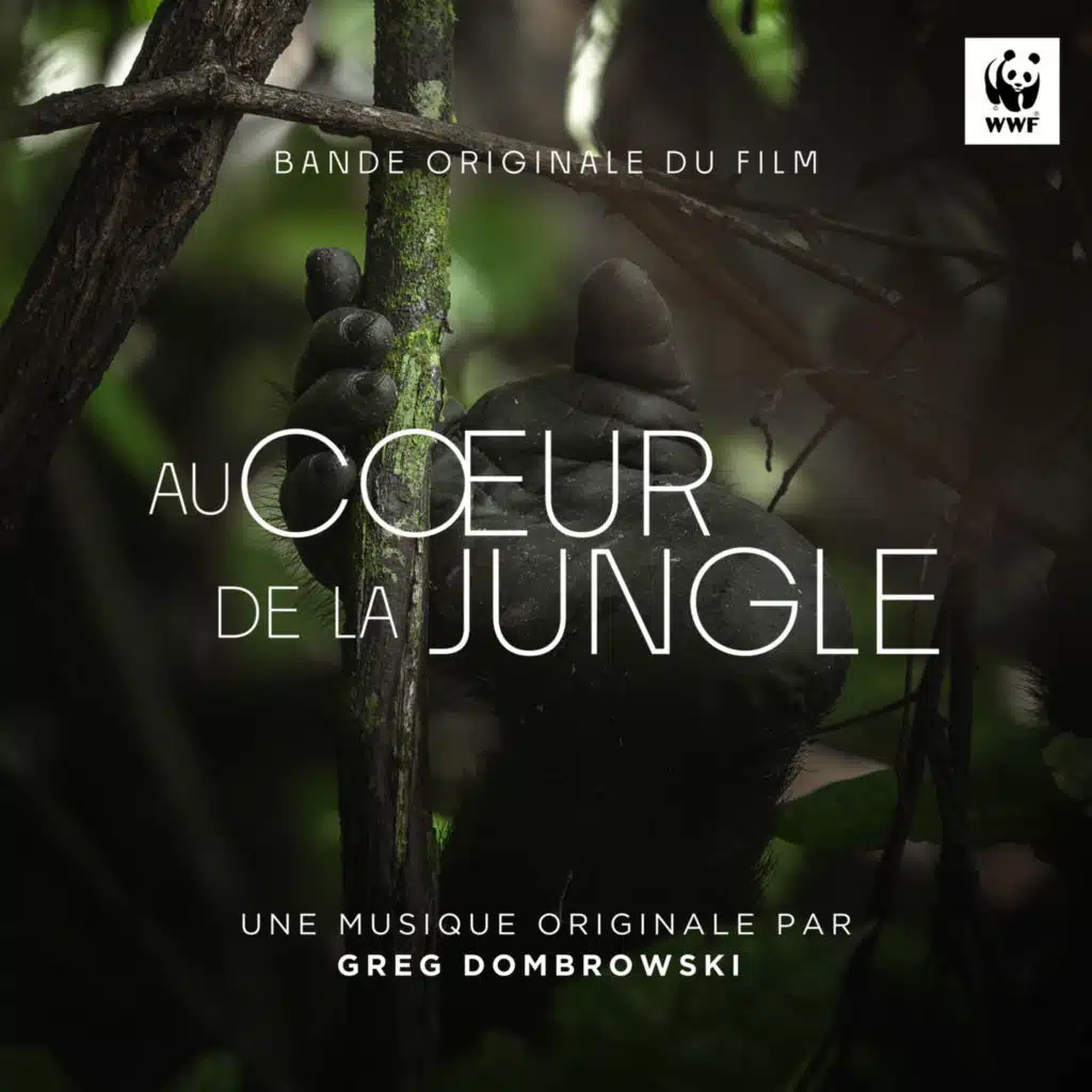 At the heart of the jungle