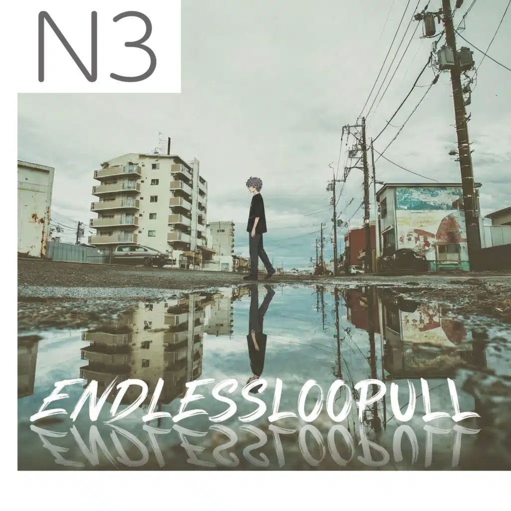 N3