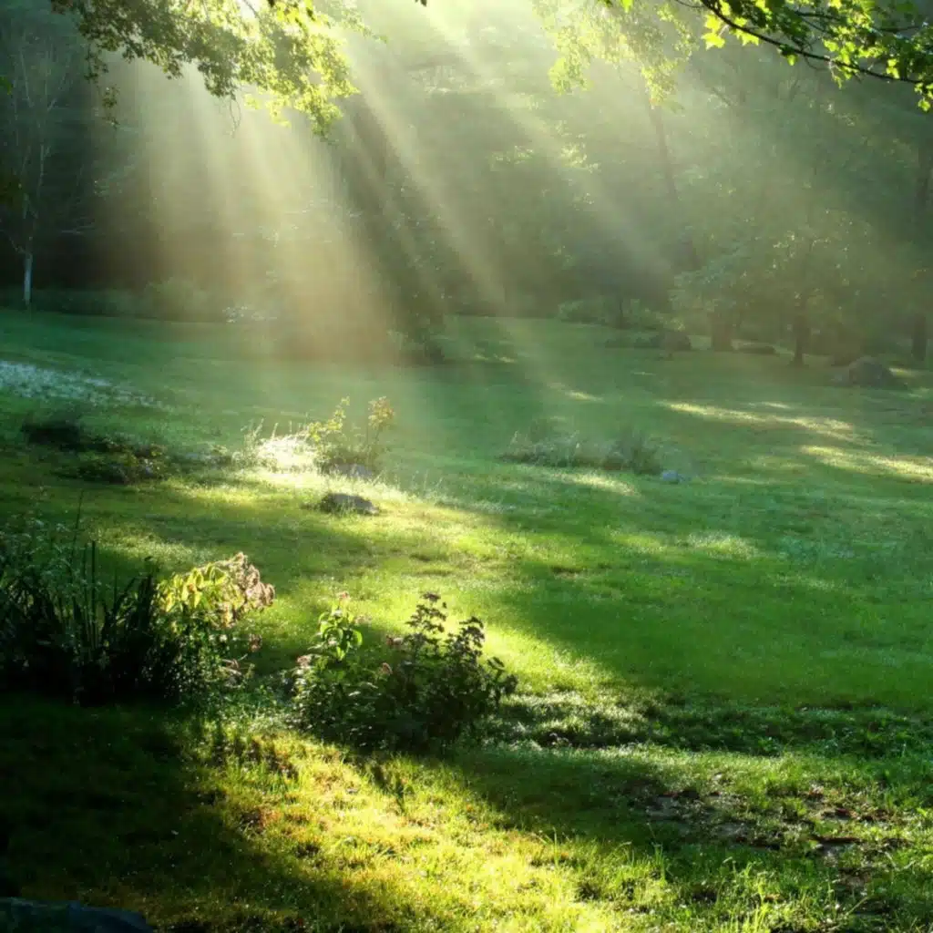 In The Hush Of The Quiet!