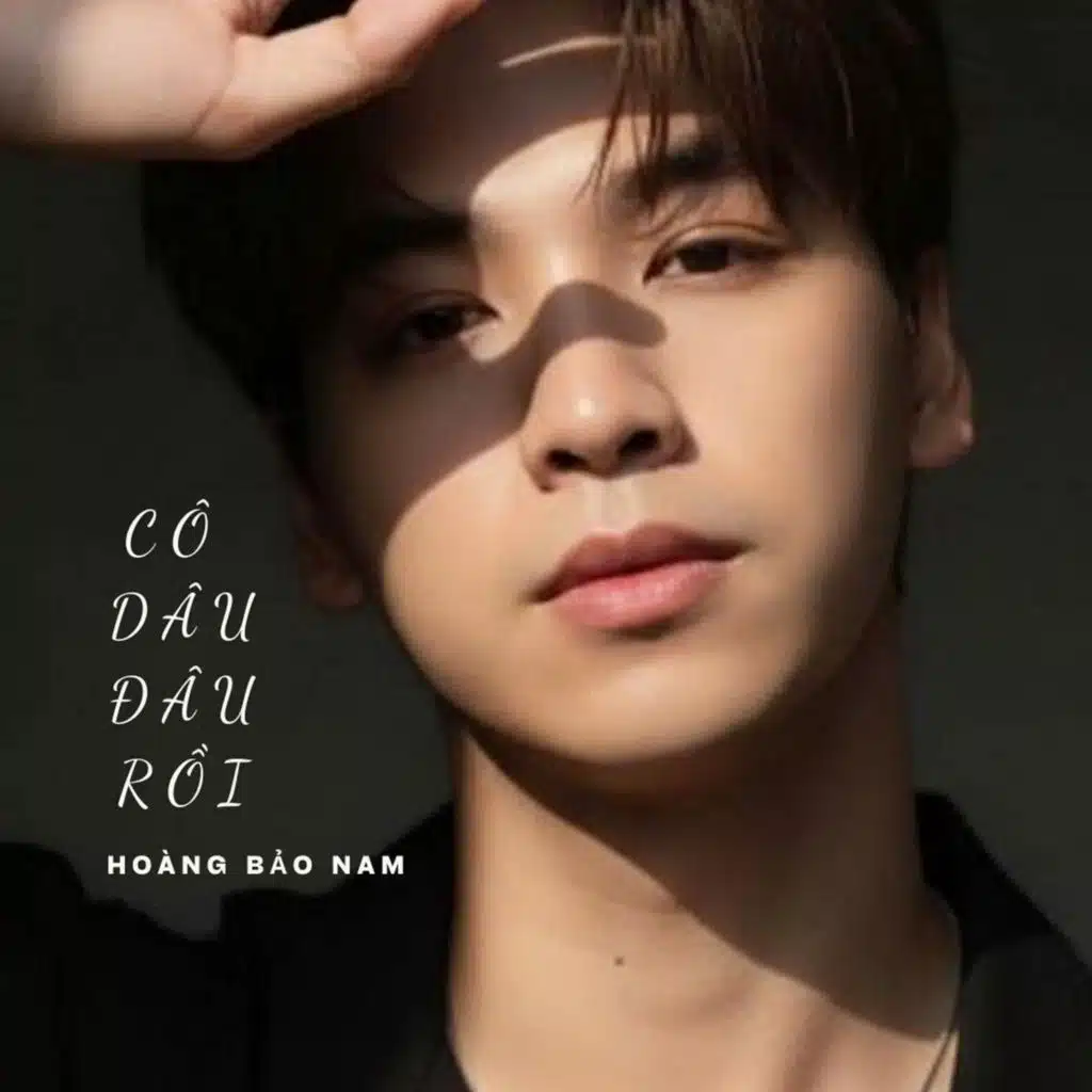 Hoàng Bảo Nam