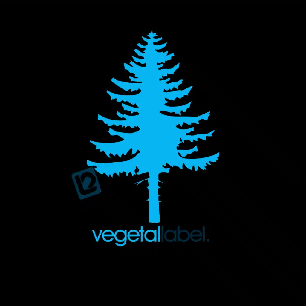 Old Fashion - Big Mamma