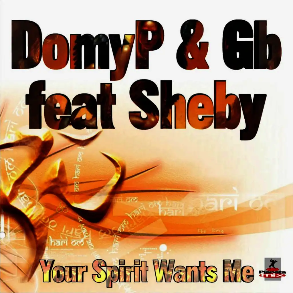 Your Spirit Wants Me (Original Mix)