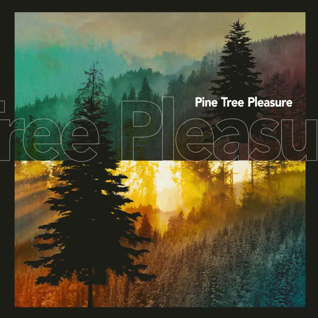Pine Tree Pleasure