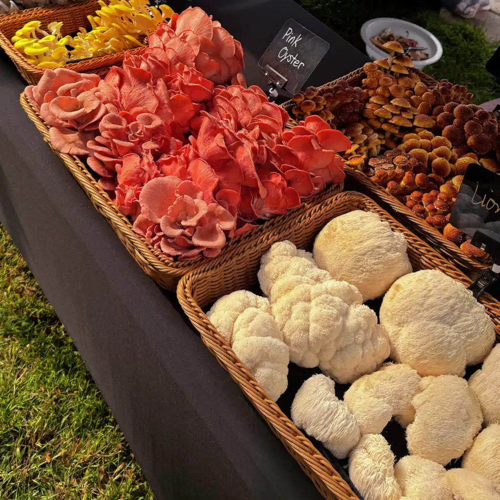 CT farms are bringing some unique crops to the table