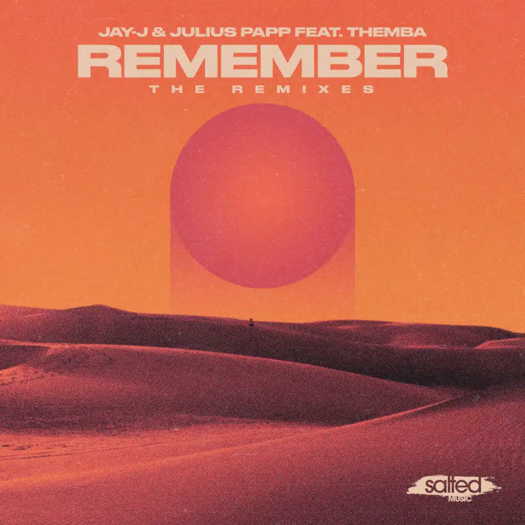 Remember (The Remixes) [feat. Themba]
