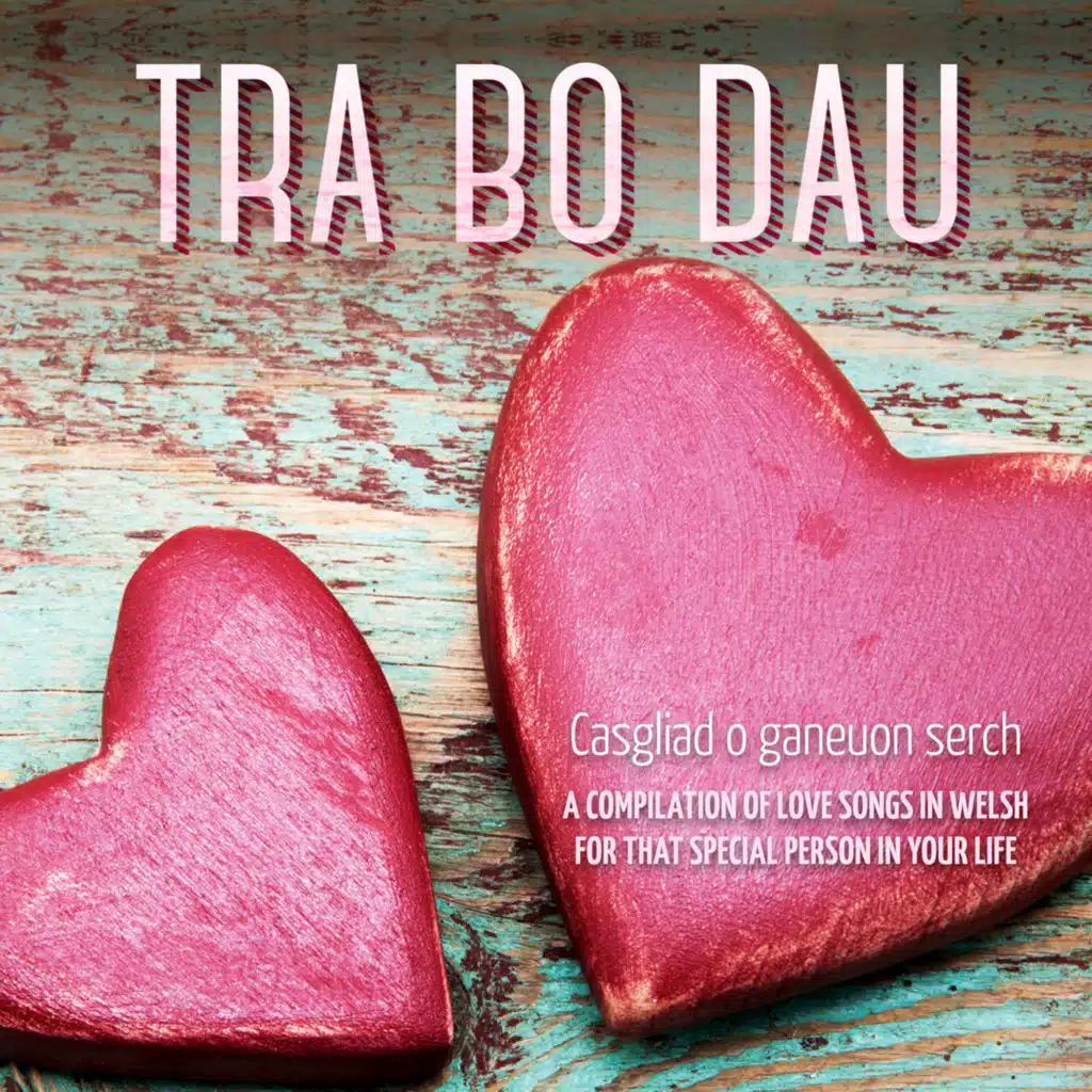 Tra Bo Dau (Casgliad o ganeuon serch / A compilation of love songs in Welsh for that special person in your life)