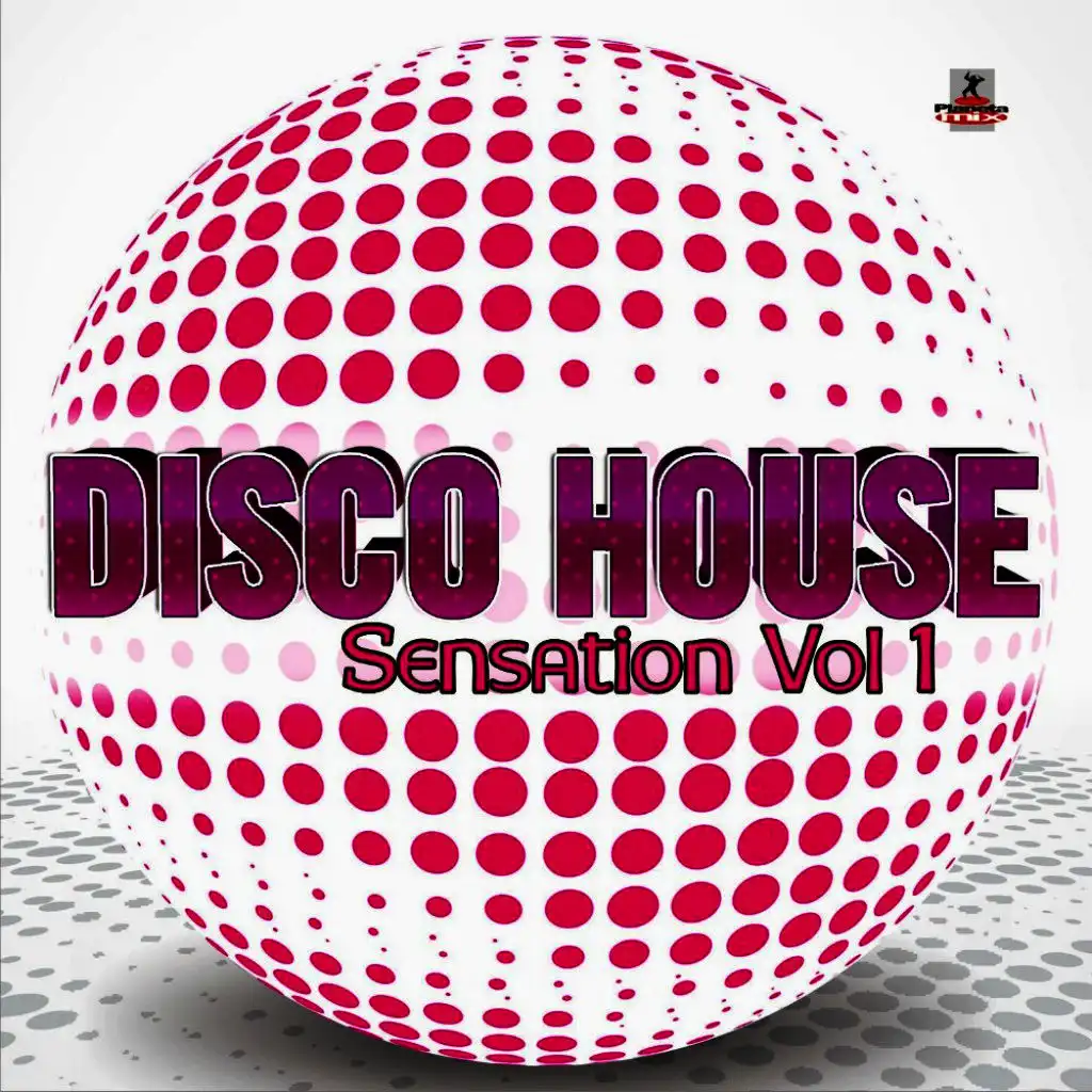 Disco House Sensation Vol.1