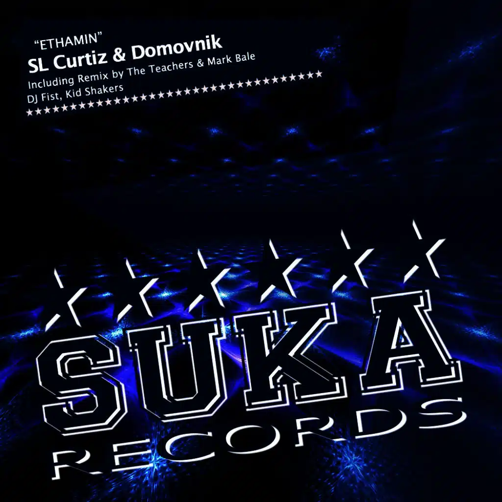 Sl Curtiz & Domovnik