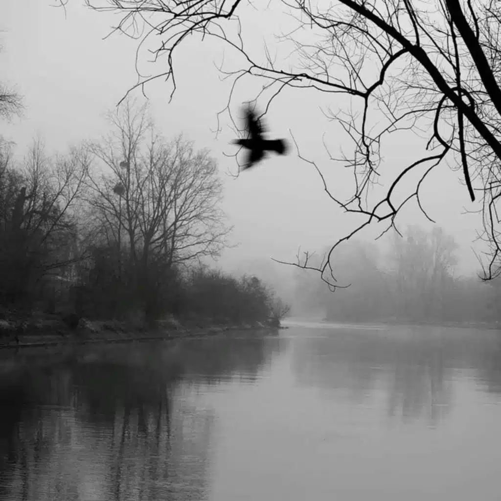 Sweet Little Bumblebee (Hardstyle)