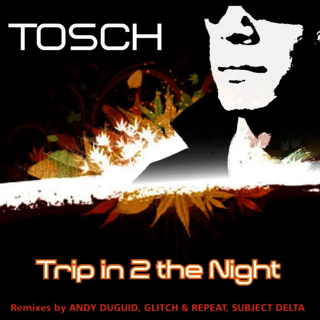 Trip in 2 the Night (Radio Mix)