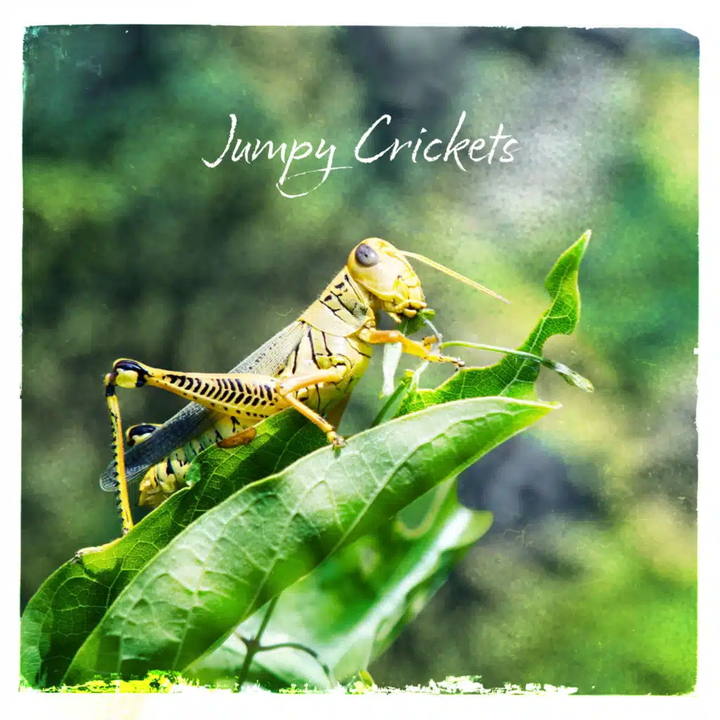Jumpy Crickets