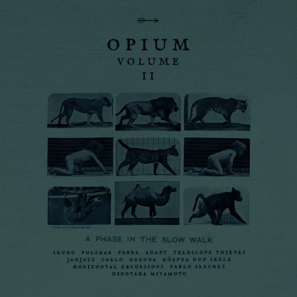 Opium Vol. 2: A Phase in the Slow Walk