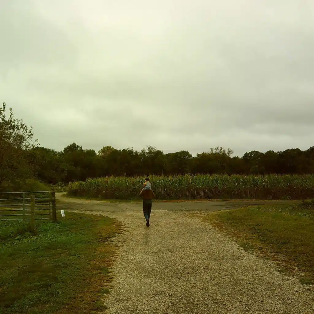 Field Guide (A Collection of Home Recordings)