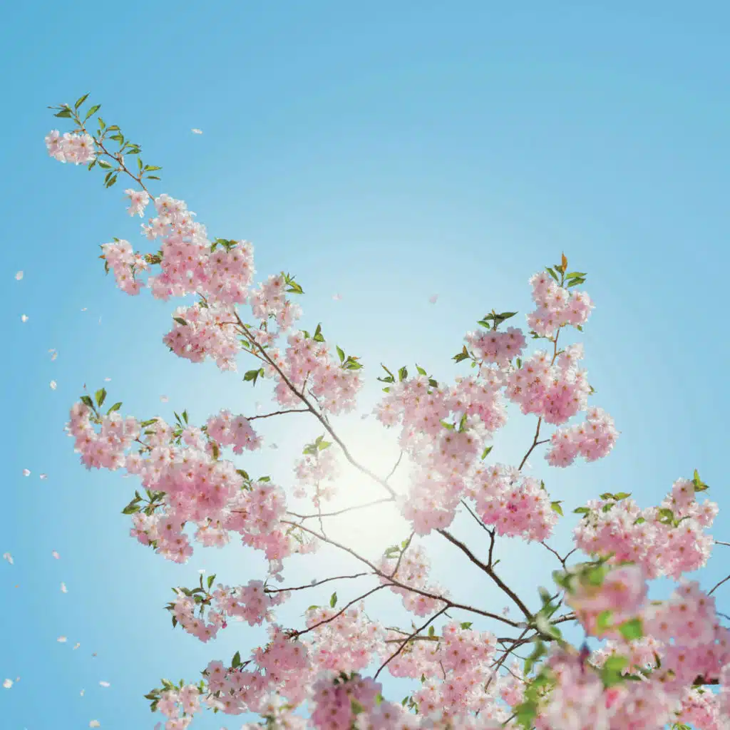 Disastronaut, Track Dept & Audiosushi