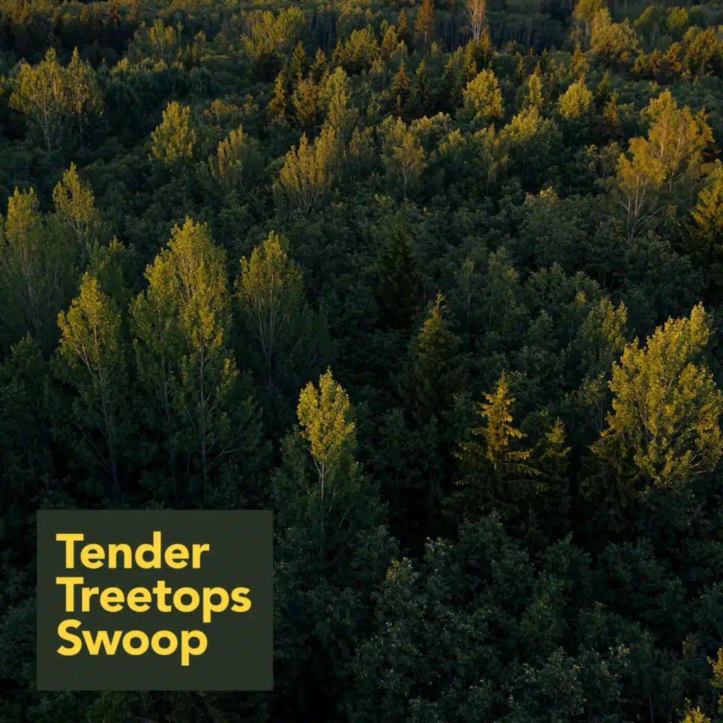 Tender Treetops Swoop