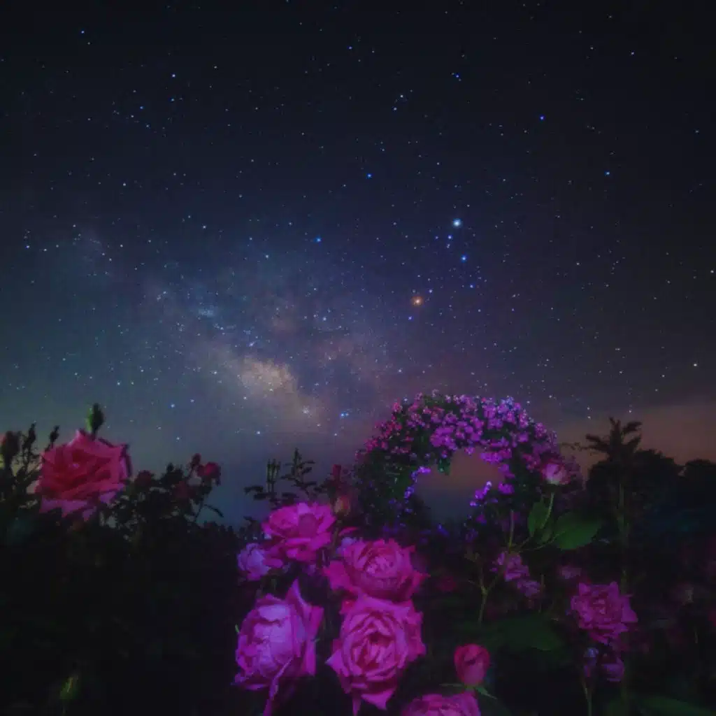 U-ZAI, Shiloh Dynasty & DJ MLG