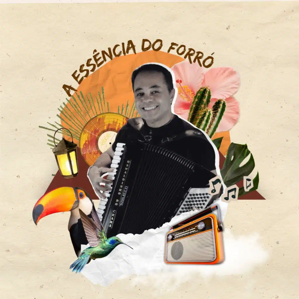 A Essência do Forró