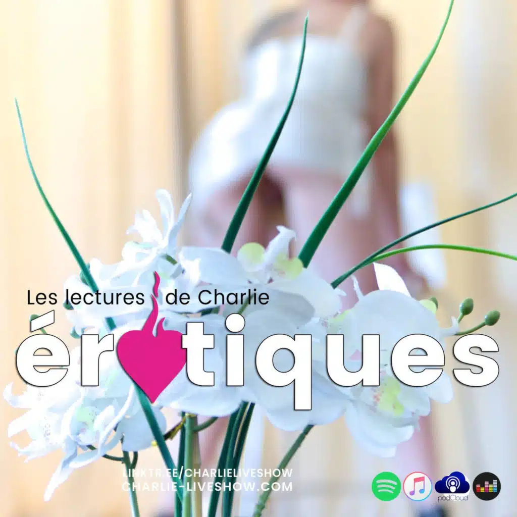 L'INNOCENTE de Luc Farnade - ATTENTION c'est excellent !