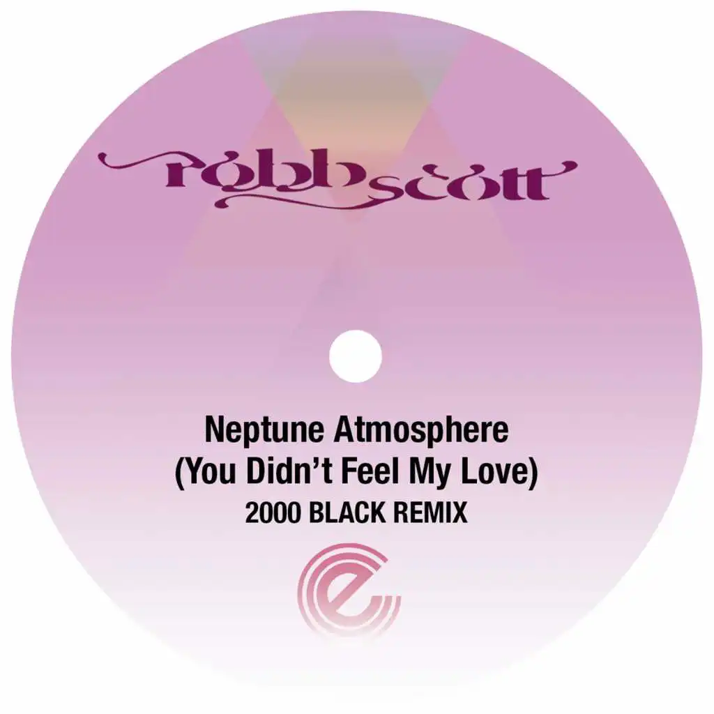 Neptune Atmosphere (You Didn't Feel My Love) [feat. Gina Foster & 2000 Black]