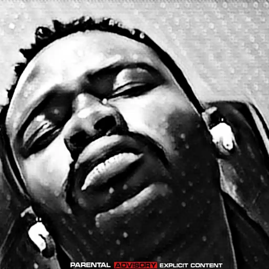 Misunderstood Prodigy