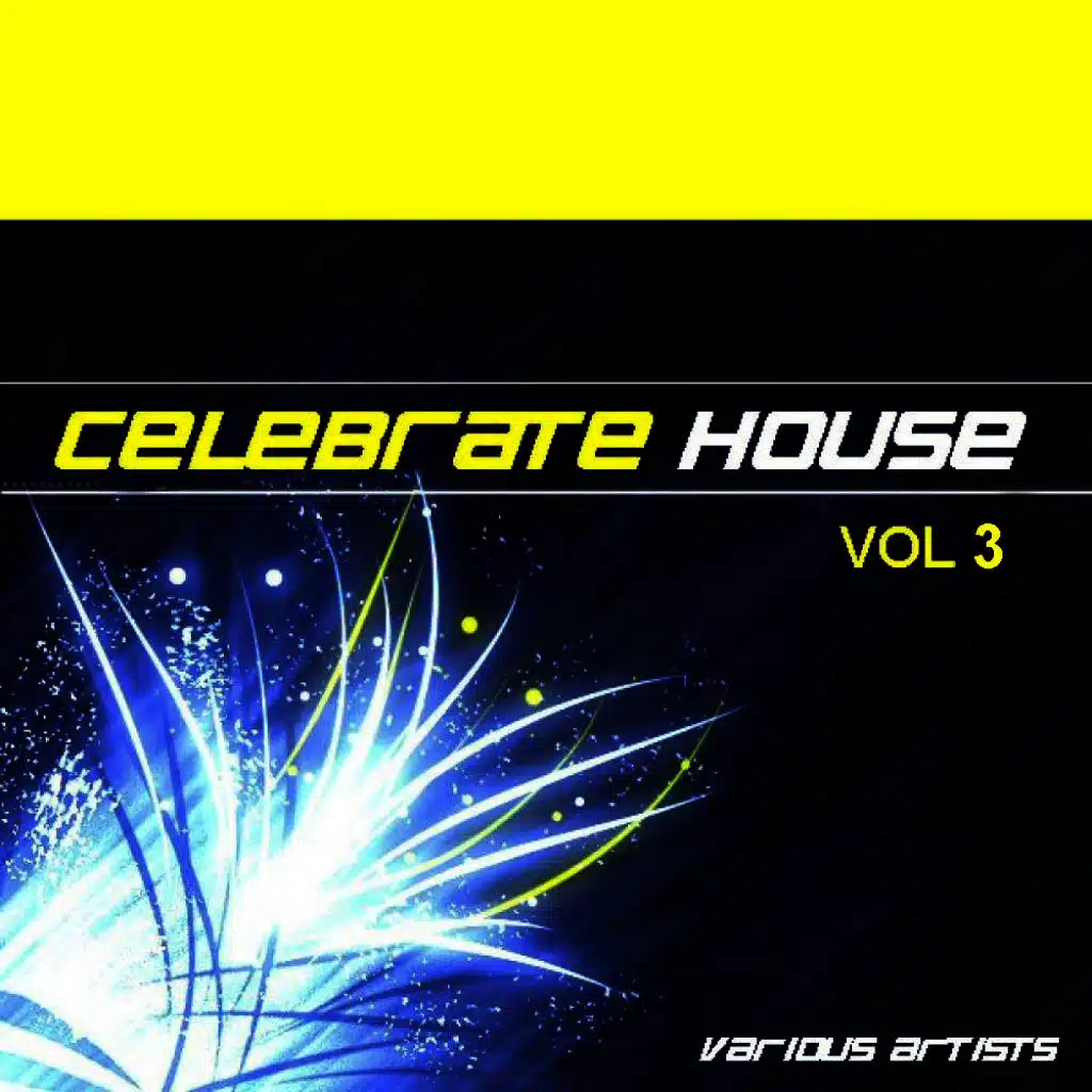 Celebrate House Vol 3