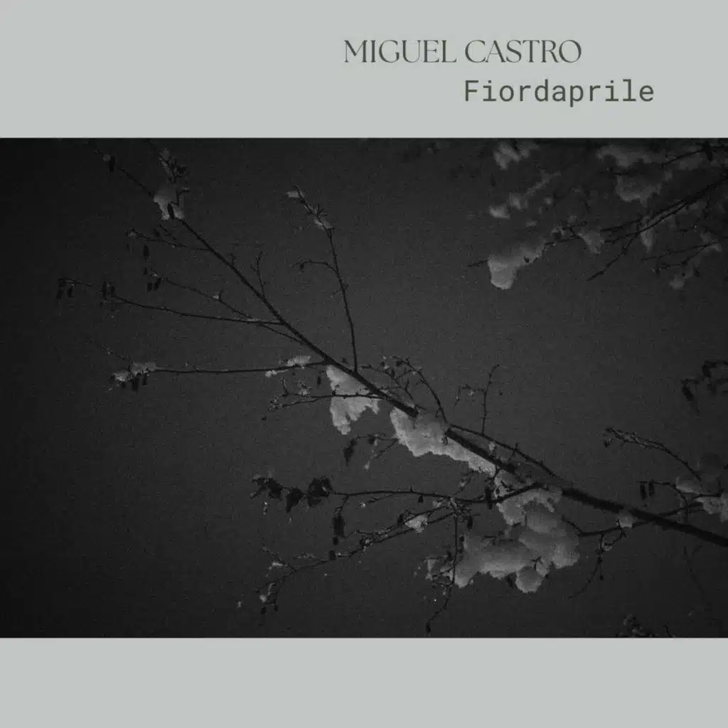 Miguel Castro