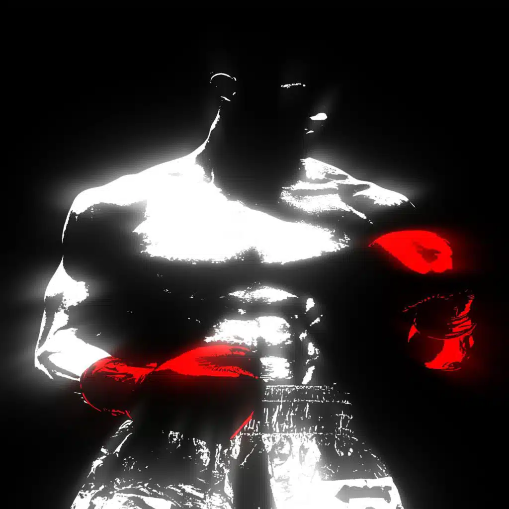 fighter