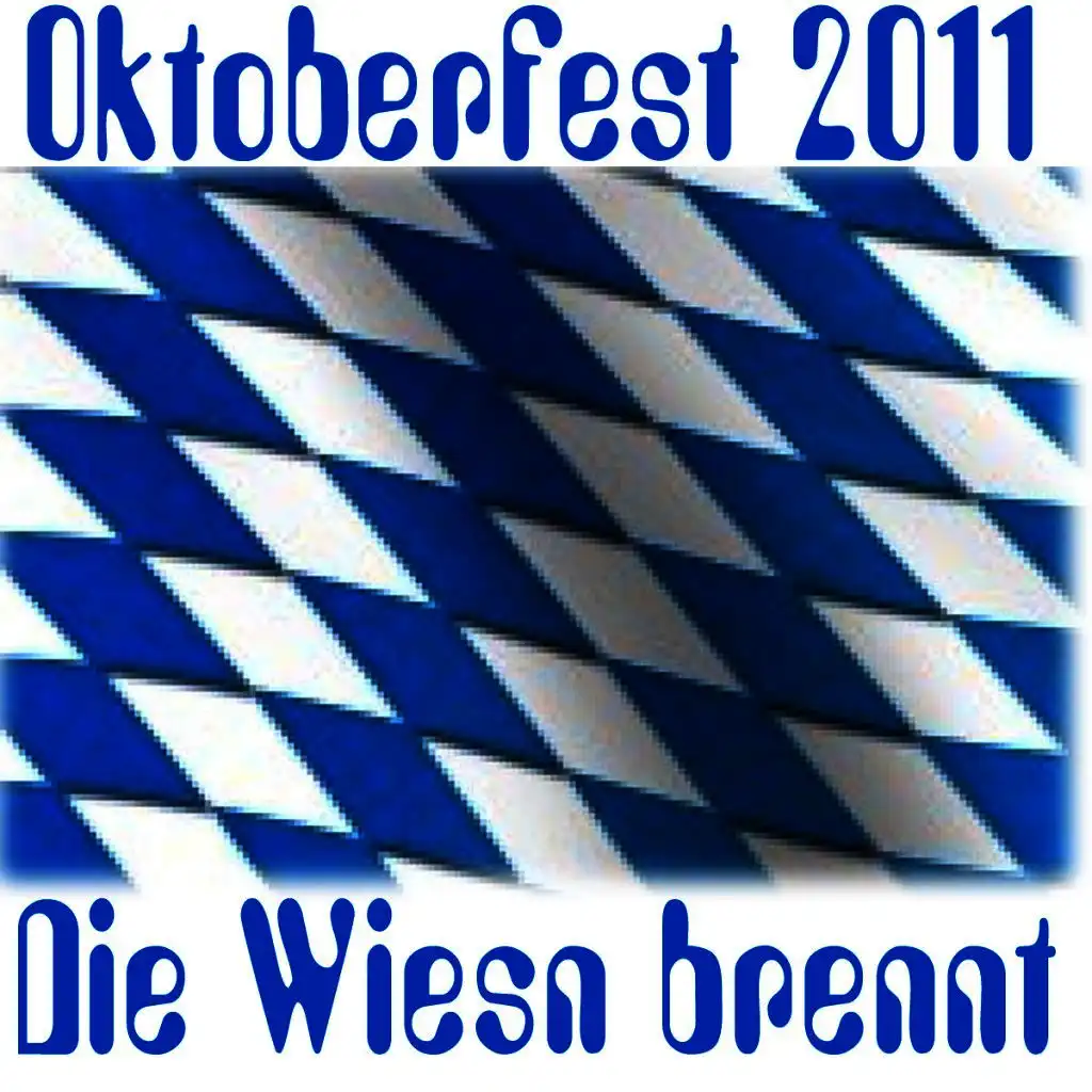 Oktoberfest 2011. Die Wiesn brennt!