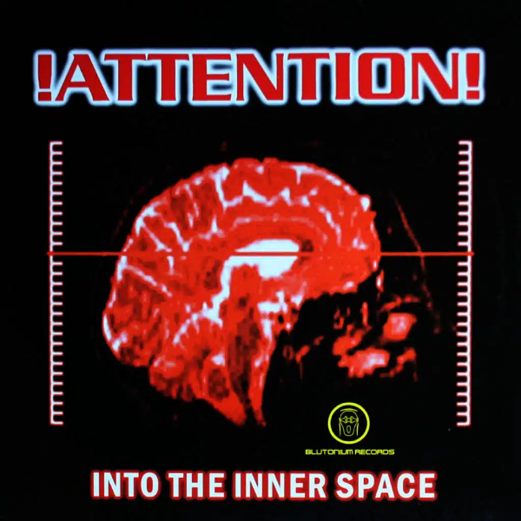 Into the Inner Space