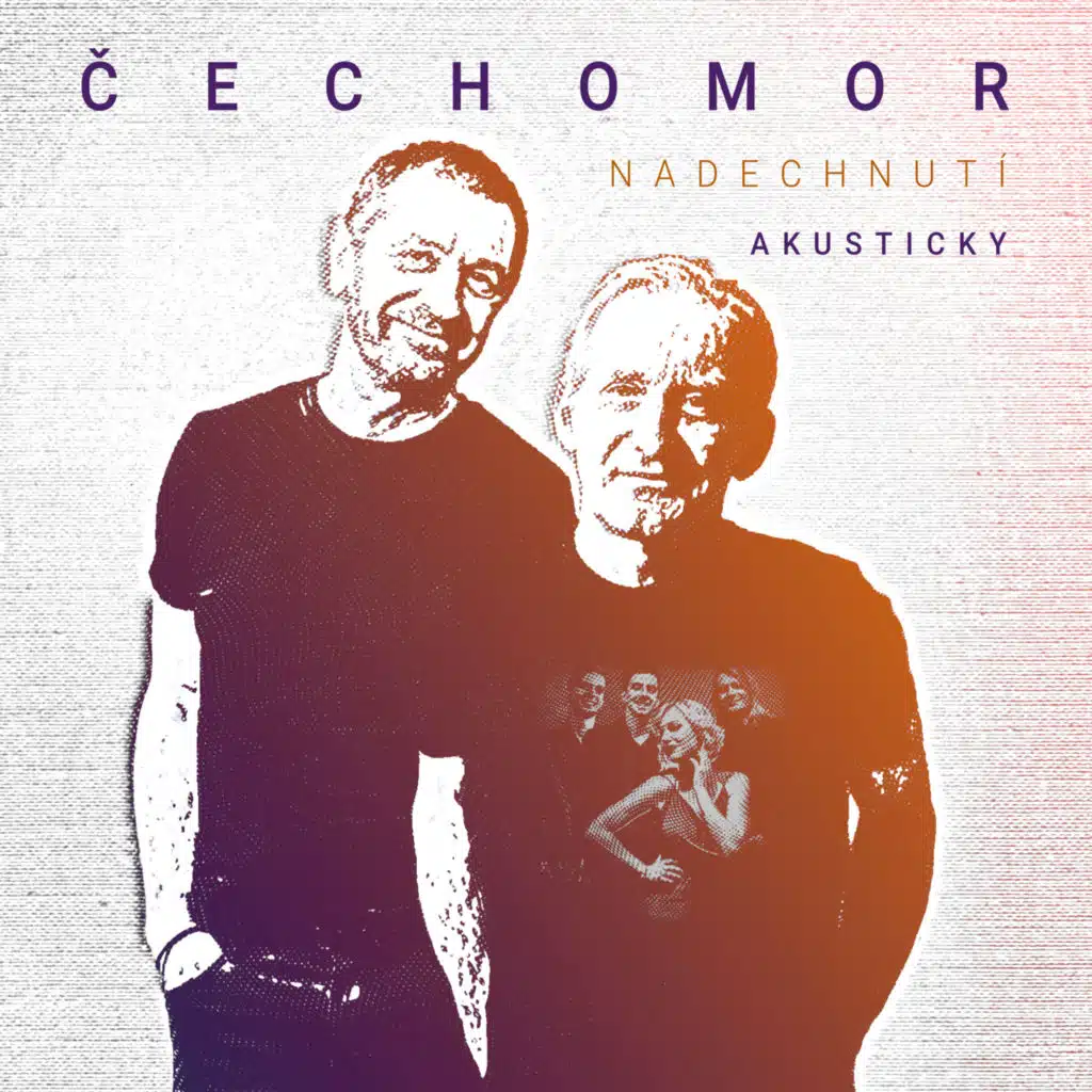 Vyletěl sokol (Akusticky)