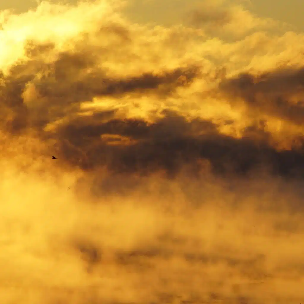 Haunting Ghosts Tales for Medieval Lute , Folk Guitar Celtic Violin & Flute