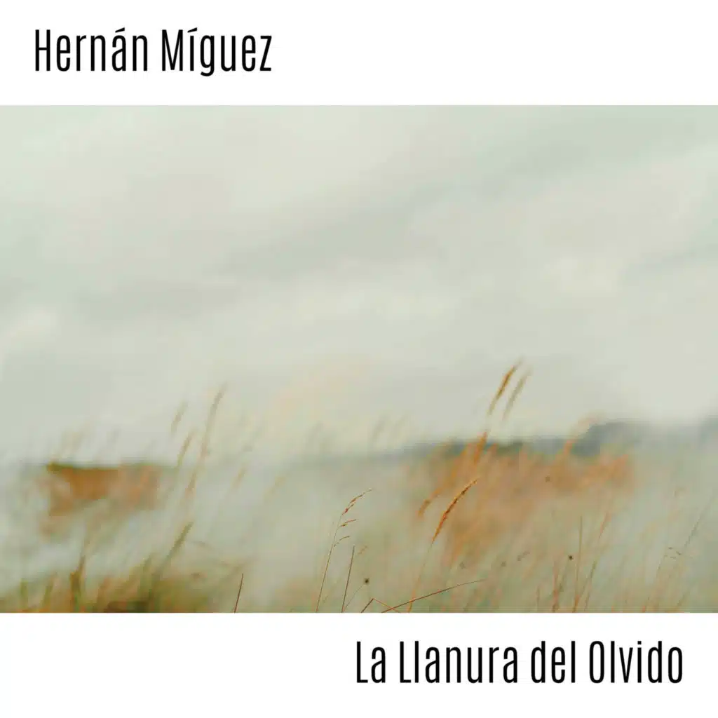 Hernan Miguez
