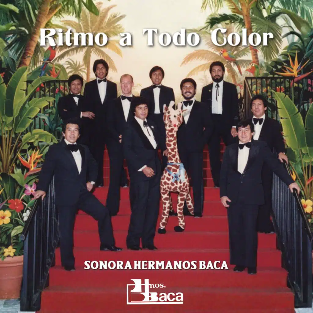 Ritmo A Todo Color
