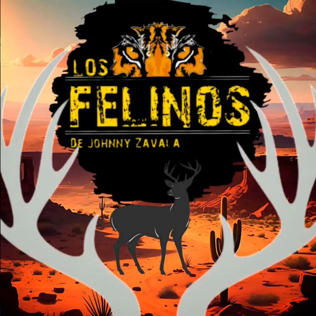 Los Felinos