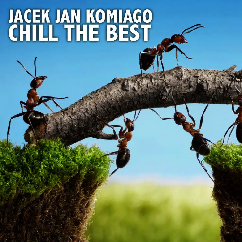 Sunny Fields, Stony Ways