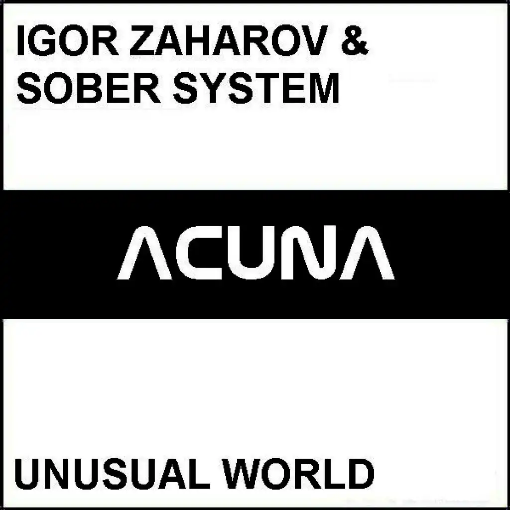 Igor Zaharov & Sober System