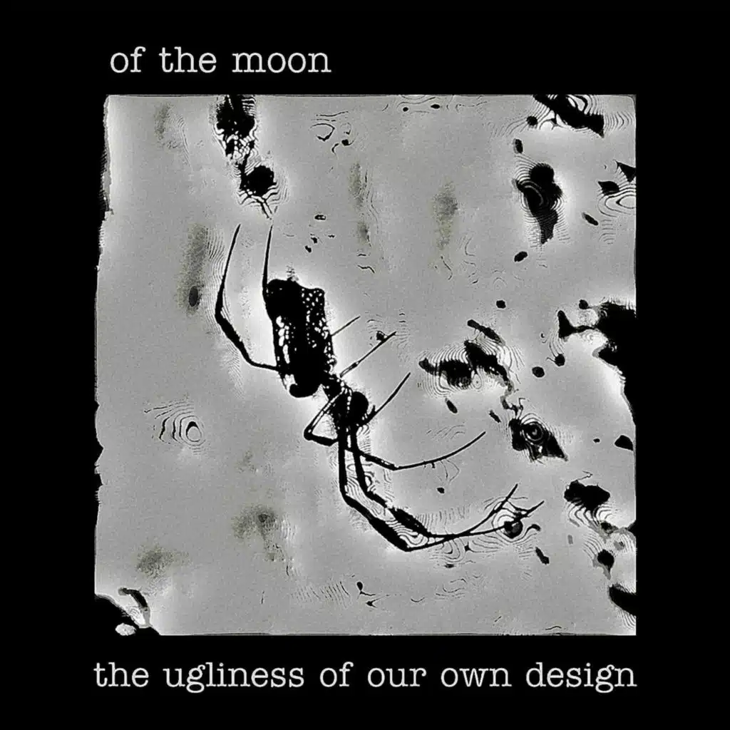 The ugliness of our own design