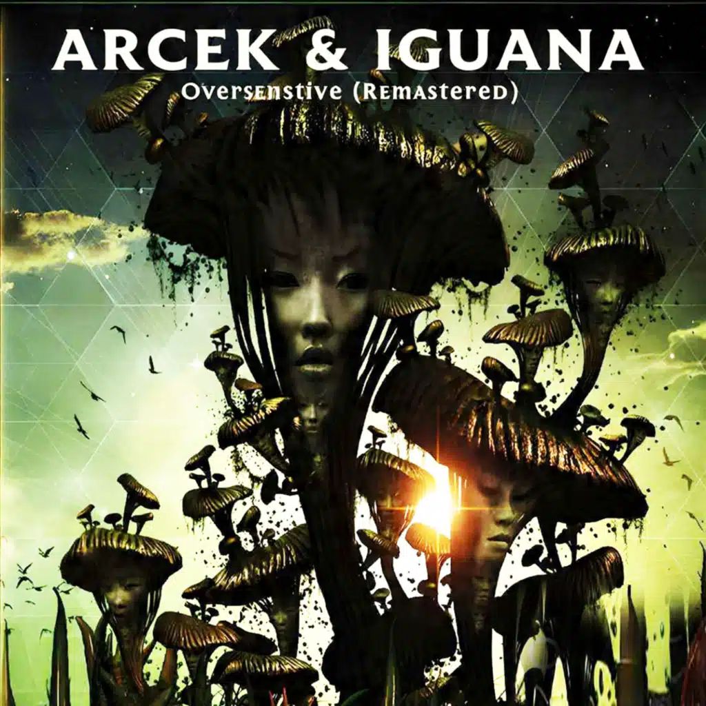 Arcek