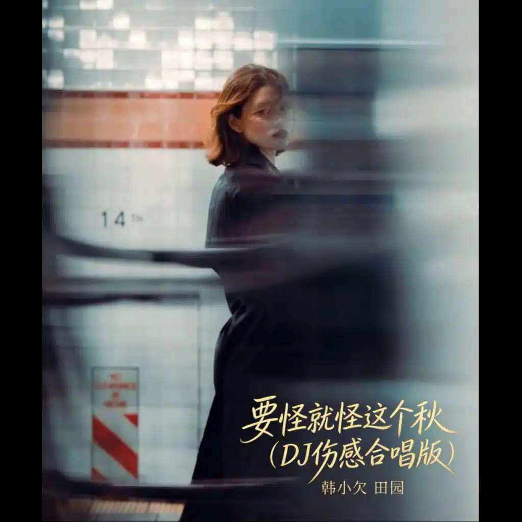 那么爱你也没用 (Dj伤感合唱版) [feat. 彭锐]