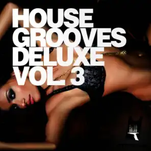 House Grooves Deluxe, Vol. 3