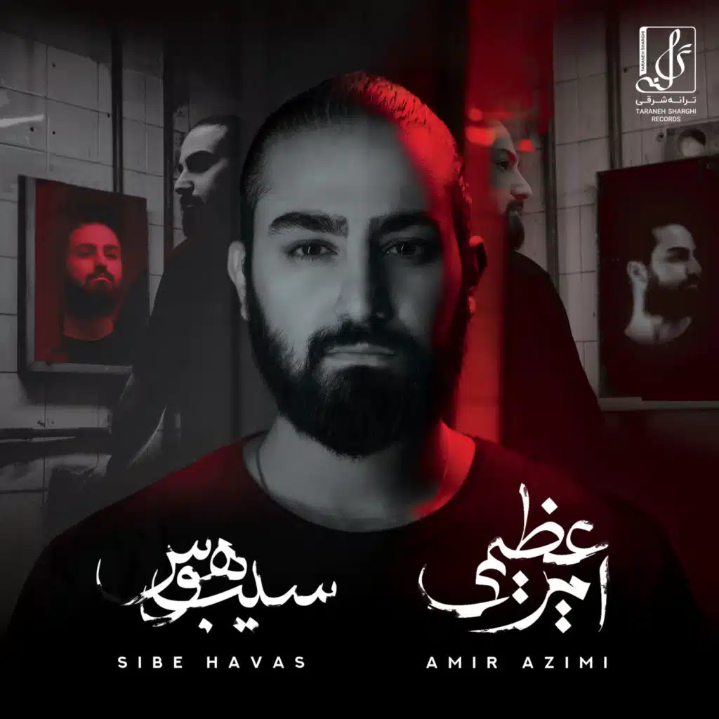 Sibe Havas